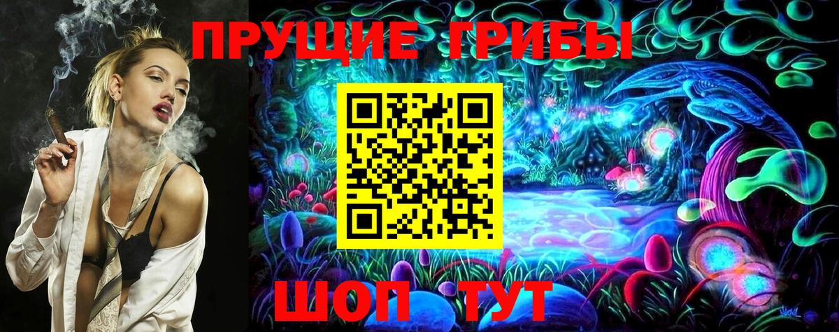 Ахтубинск  Псилоцибиновые грибы MAGIC MUSHROOMS  Вход с VPN  Псилоцибиновые грибы Psilocybe 